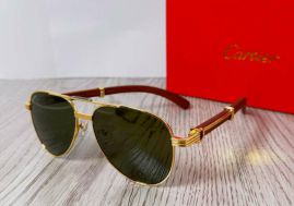 Picture of Cartier Sunglasses _SKUfw55248119fw